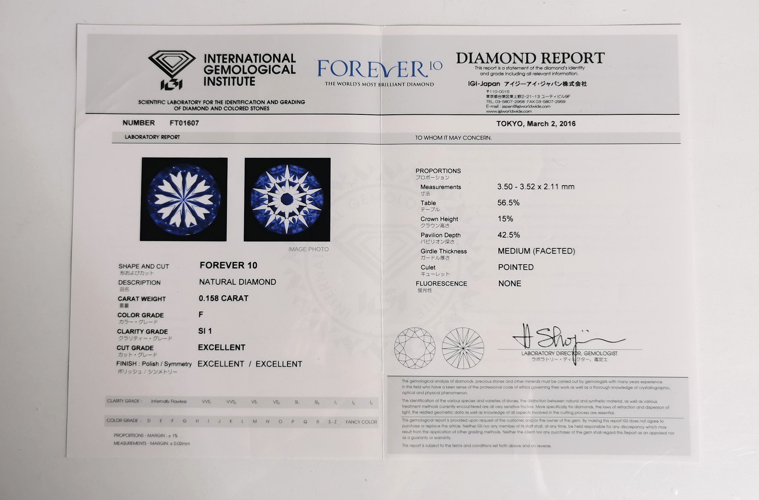Gem Report - IGI Japan