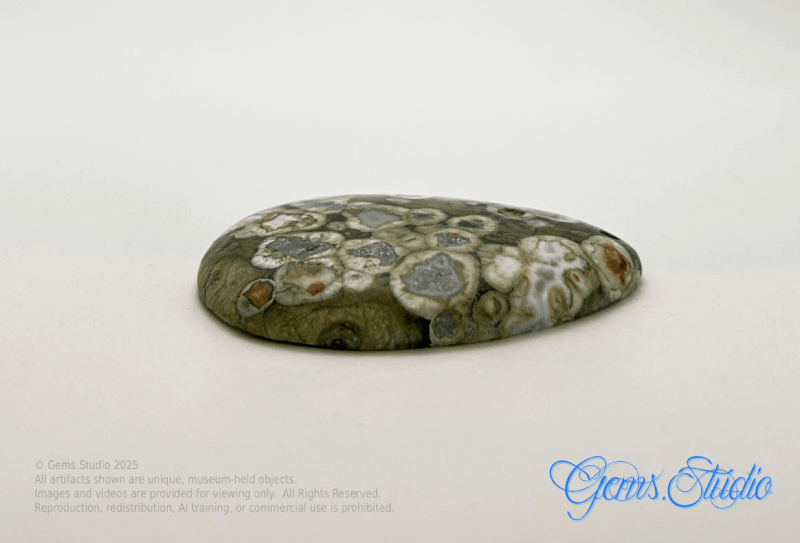 Rain Forest Jasper (Rhyolite) 46x34